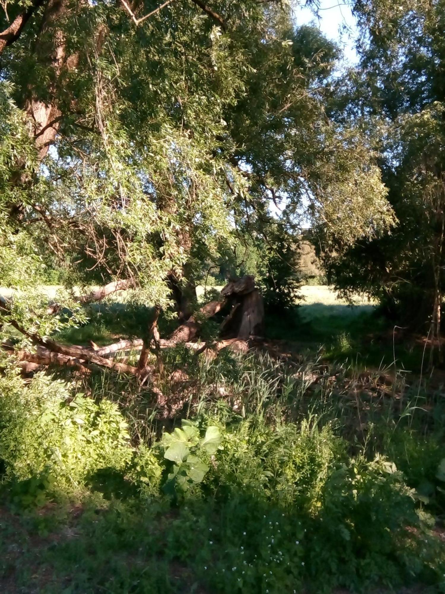 Samoa Διαμέρισμα Hoppegarten Εξωτερικό φωτογραφία